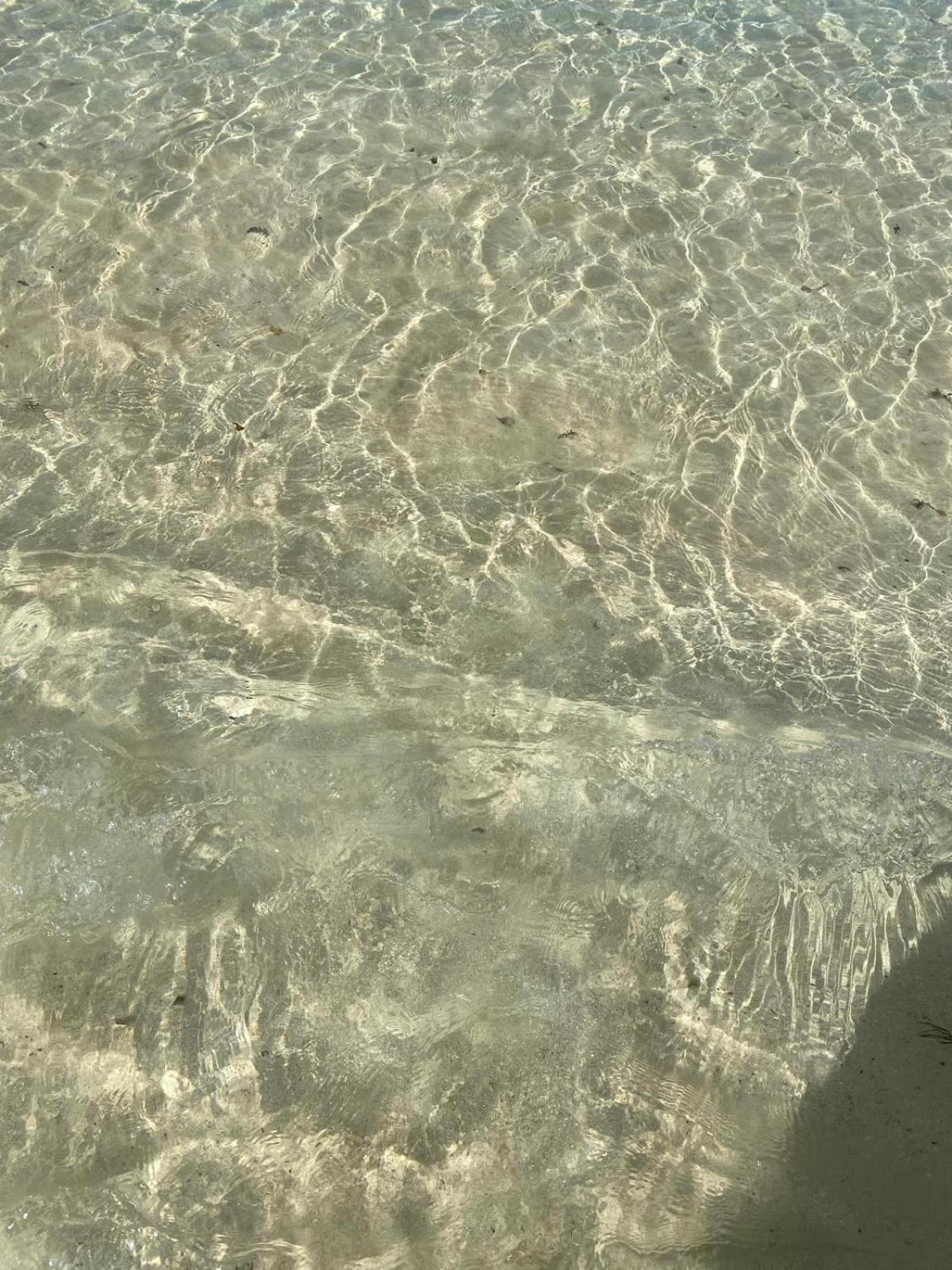 Cotillo Luaran gambar